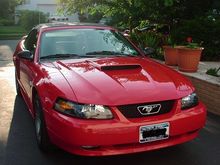Marco's 2004 Mustang