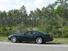 IMG 1236 s