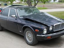 IMG 6439.JPG lower quality yetjpg