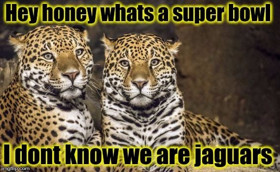 Jokes - Page 167 - Jaguar Forums - Jaguar Enthusiasts Forum