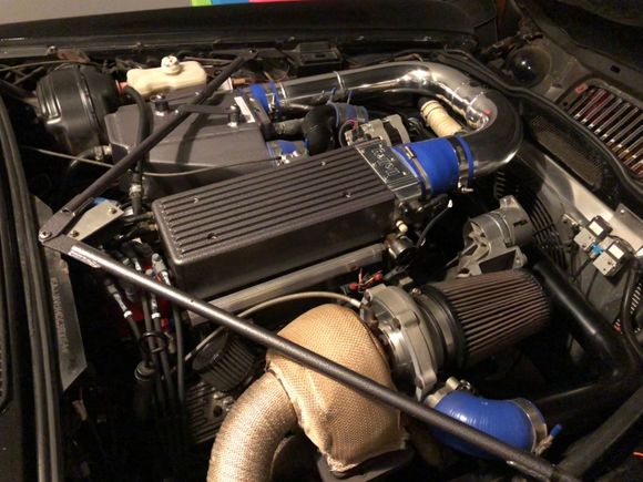 This is a more recent pic. 