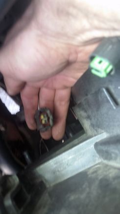 This was the connector dealer parts guy didn't know existed that plugged into a Bosch auxiliary pump.