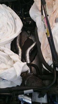 new hoses! yayy! used older spring clamps and right after them used screwdriver clamps so they will never leak!