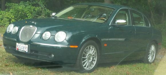 Jaguar in the wild & ready to pounce!