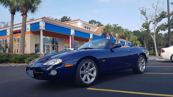 We don't have Palm trees were I live but they suit the car.