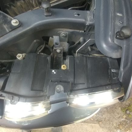 Hex adjust screw on right (lowbeam)