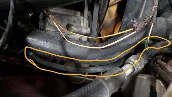 Flexible hose 