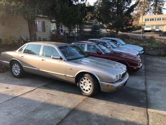 They keep following me home.