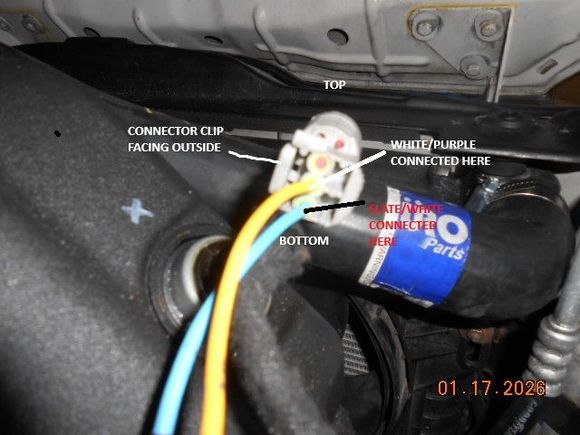 I believe this plug is not connected properly because when plugged in the wires go to the middle and lower pin as indicated.