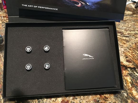 Nice little box in the mail today with a thank you letter and these cute kitties.