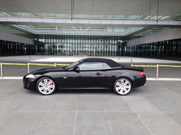 Black needs a special wax!