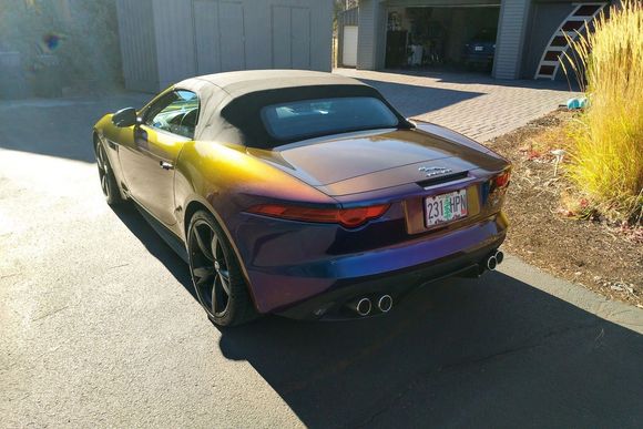 New Wrap back