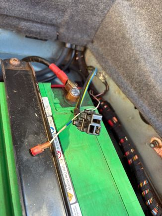 What do these connections energize?