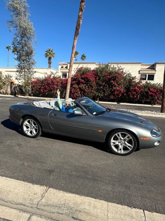 97 seven today riding the California dream