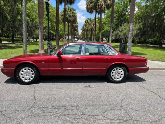 Lord Donnington after paint correction and ceramic coating. 