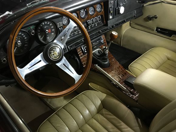 The alligator has the same colors as the burl walnut.