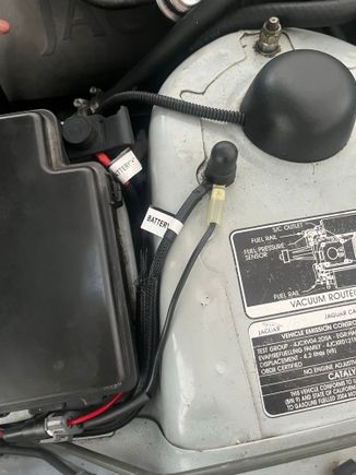 The harness itself also has a positive to battery and negative to ground terminals. I attached the positive box's positive strap bolt, and the ground to a shock tower bolt. 