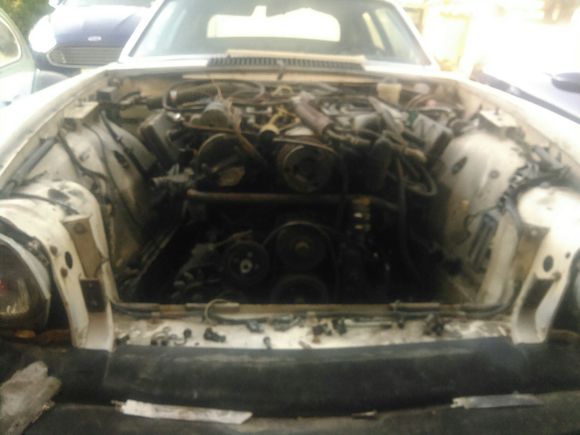 removed shot motor