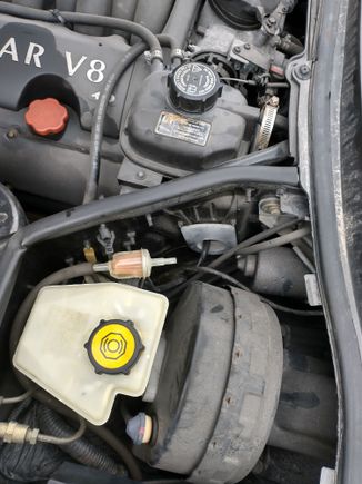 EVAP vent line