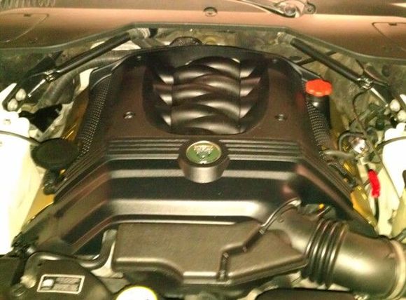 Original OEM Engine Cover with Badge