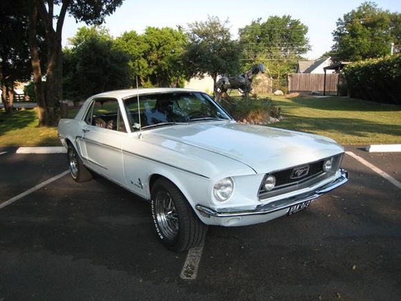 mustang small