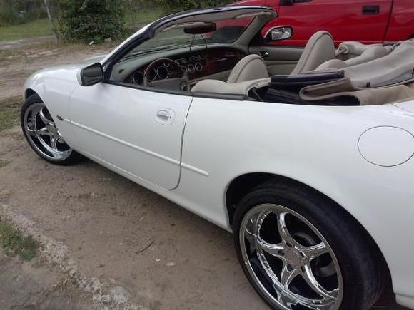 white xk8