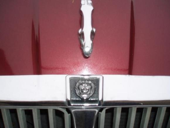 Bonnet open