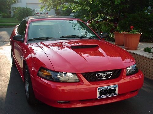 Marco's 2004 Mustang
