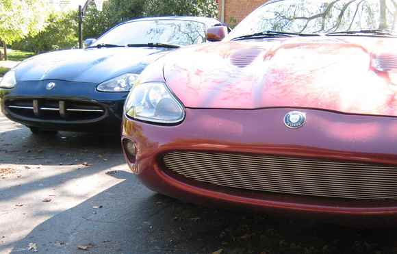 2 jags