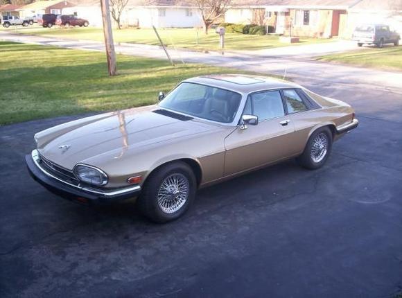 jag pic 1