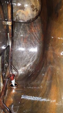 Sealer before drying.