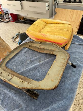 replacement foam 