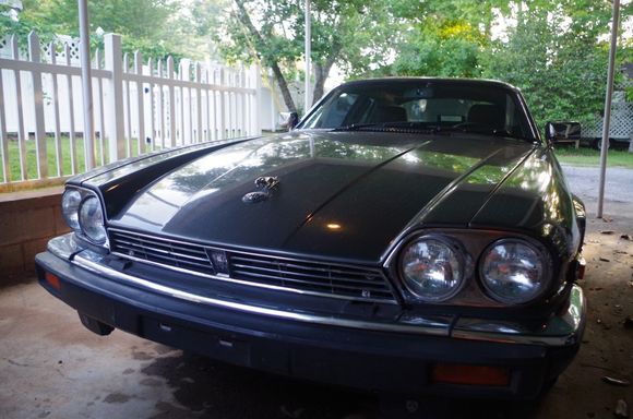 Big brother wanted some face time, too. I think we'll be selling the XK8 soon and holding onto these two. Also pictured for the combination leaper/growler treatment on the hood.