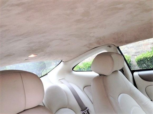              Ivory Alcantara Headliner