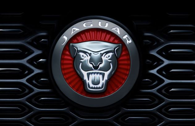 Growler grill badge color change - Jaguar Forums - Jaguar Enthusiasts Forum