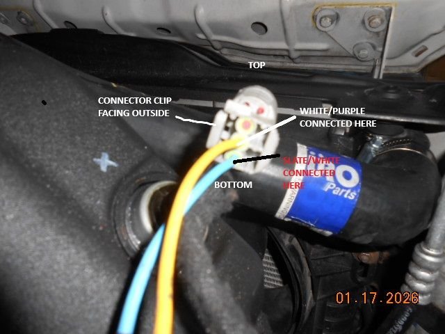 I believe this plug is not connected properly because when plugged in the wires go to the middle and lower pin as indicated.