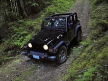 Endless Logging trails topless!