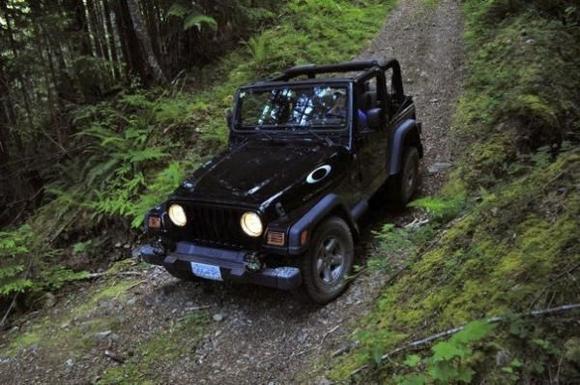 Endless Logging trails topless!