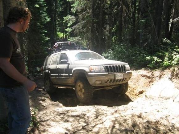 On the Whipsaw Trail