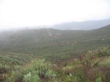 IMG 6775