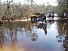 Jeep gets stuck in deep waters at JW Corbett Wildlife!