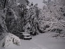 Jeep loves snow