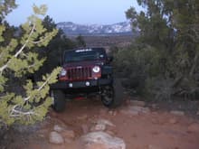 Our new 2010 Rubicon Unlimited