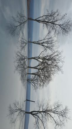 OG photo for AI photos
