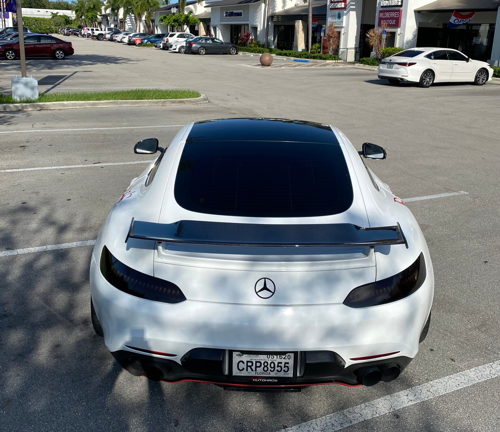 Exterior Body Parts - DarwinPro carbon fiber rear wing for AMG GT - Used - 2016 to 2018 Mercedes-Benz AMG GT - Boca Raton, FL 33433, United States