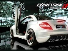 SLK r171 EXPRESSION Body kit
If you are interested, don't hesitate to refer back to info@expression.be