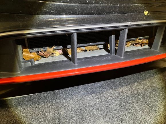 W214 E53 leaf trap.