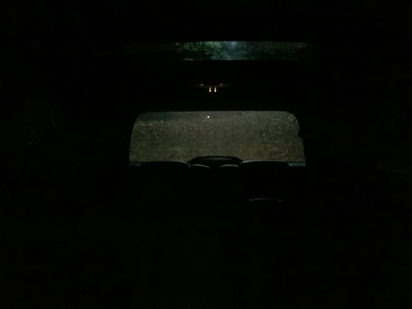 Look from front seat with bulbs. Clearly brighter top/bottom on the bushes.
