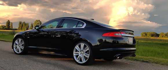 2010 Black and Tan XFR
