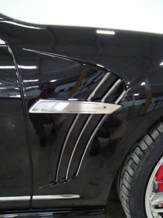 Black Bison Fender with custom installed light